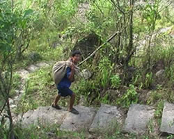 Carriage of FPS Items to remote places