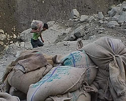 Carriage of FPS Items to remote places